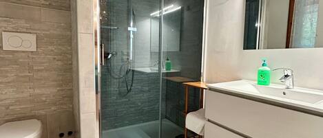 Shower, bidet, towels, soap