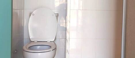 Regadera, toallas, papel de baño