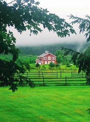 Immagine non classificata, 4 di 11, pulsante