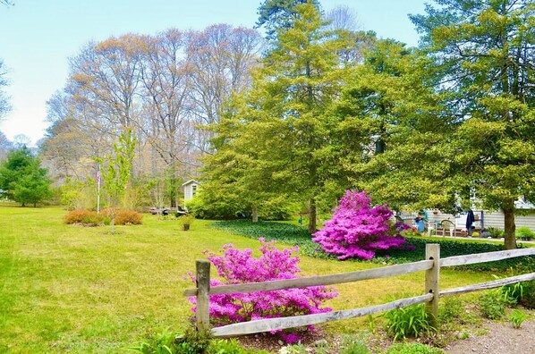 A grassy area with a wooden fence, trees, and a small building in the background.