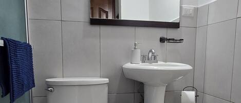 A bathroom with a toilet, sink, and mirror.