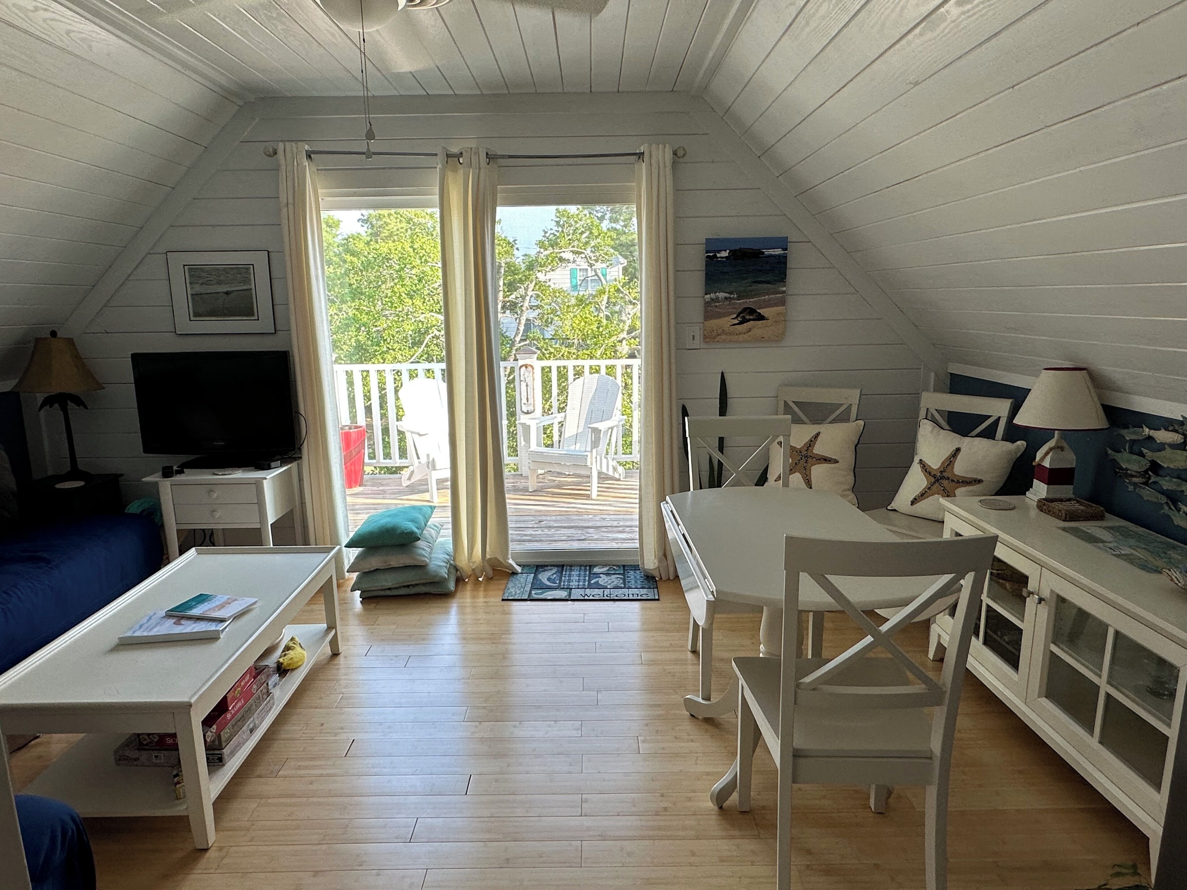 Smart TV, DVD player, books, video library