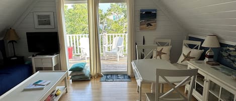 Smart TV, DVD player, books, video library