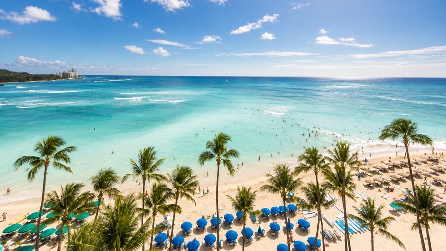 NEW KBM Resorts Free CAR Ilikai Suites Studio Oceanview Condo! Ilk-437
