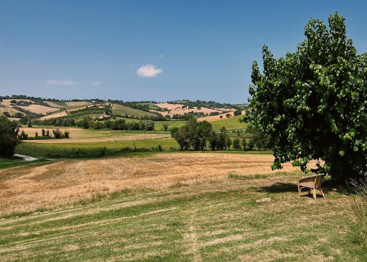 A rural landscape with rolling hills, a tree, and a bench.