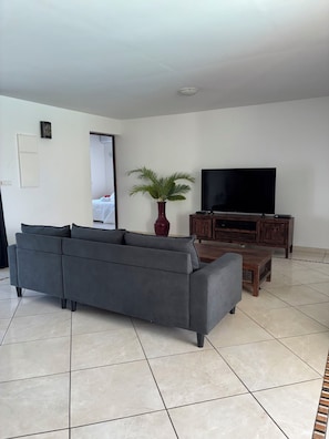 A living room with a grey sofa, a red vase with a plant, a TV, and a wooden cabinet.