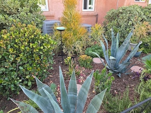 Ein Garten mit verschiedenen Pflanzen, einem Metallgestell und einem Gebäude im Hintergrund.