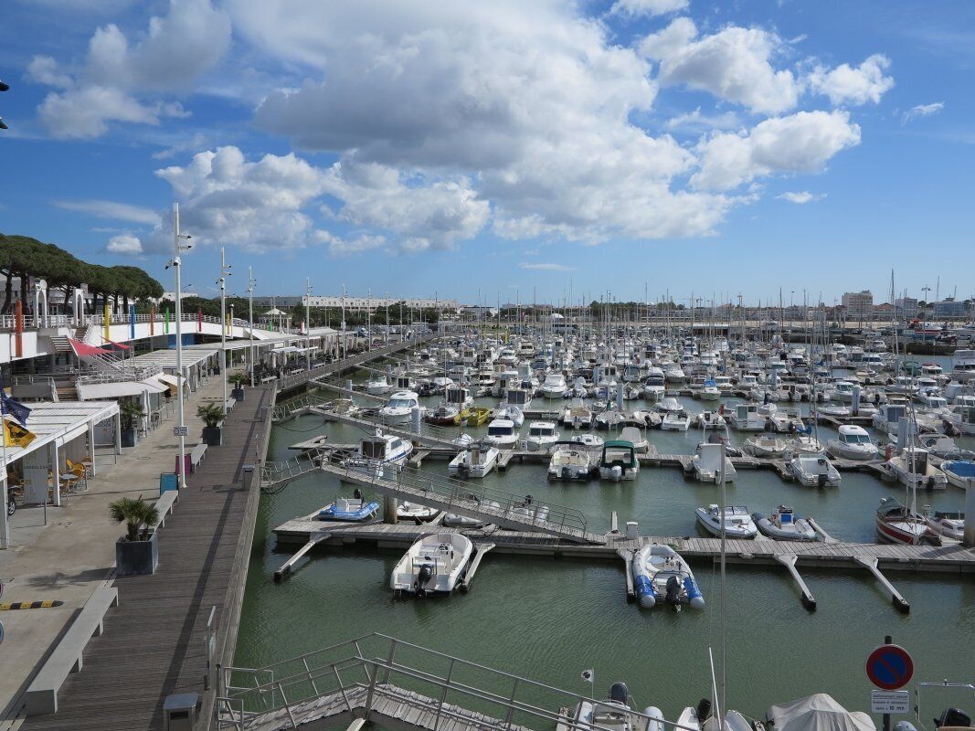 A marina with numerous boats docked, a pedestrian walkway, and a clear sky.