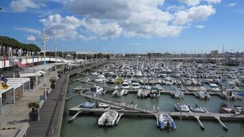 A marina with numerous boats docked, a pedestrian walkway, and a clear sky.