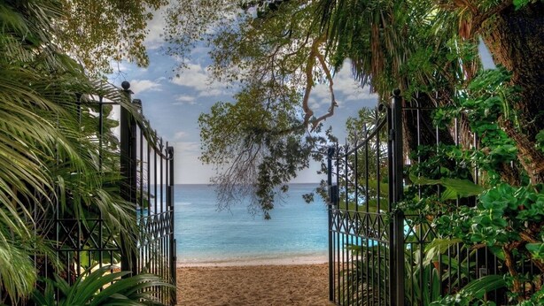 A pathway leading to a beach with a metal gate and lush greenery on either side. - Beachfront Villa with Plunge Pool - Waverly One (2 bed) (Gibbes Beach)