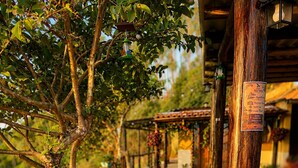 Un sentier mène à un bâtiment rustique, entouré d’une clôture en bois, agrémenté de plantes en pot et d’un panneau indiquant les commodités disponibles.
