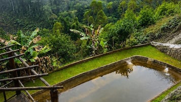 A terraced garden with a wooden deck and seating area overlooking a pond.