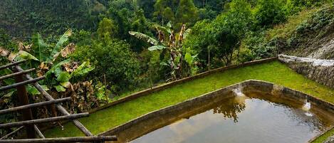 Ein gestufter Garten mit einer Holzterrasse und einer Sitzgelegenheit mit Blick auf einen Teich.