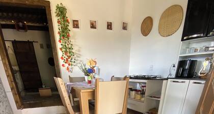 Your Country House in the Mountains of Santa Teresa!