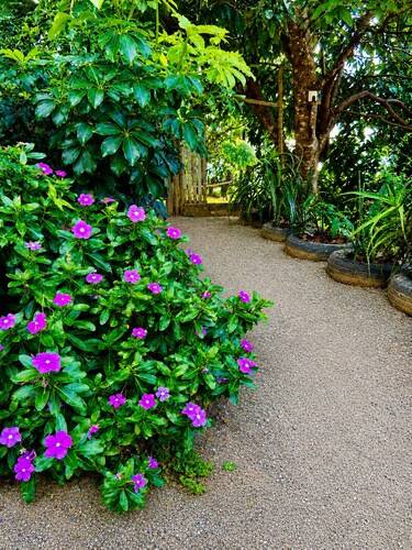 Your Country House in the Mountains of Santa Teresa!
