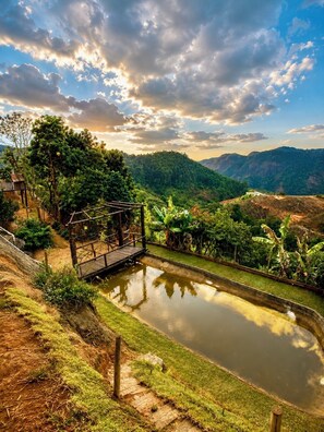 Un paysage paisible avec un étang, un pont en bois et une végétation luxuriante.