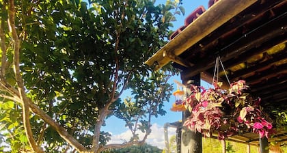 Your Country House in the Mountains of Santa Teresa!