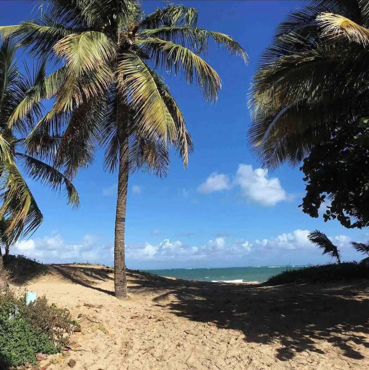 Beach