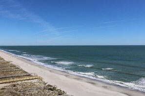 Beach - Enjoy stunning ocean views from the 11th floor 1-bedroom Starfish Room in Carolina Beach! (Carolina Beach)