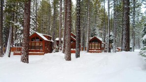 Rivissä on puisia mökkejä, ja ne ovat korkeiden mäntyjen ympäröimänä lumisessa metsässä.