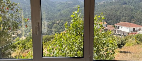 Una ventana con vistas a un paisaje montañoso, una casa y algo de vegetación.