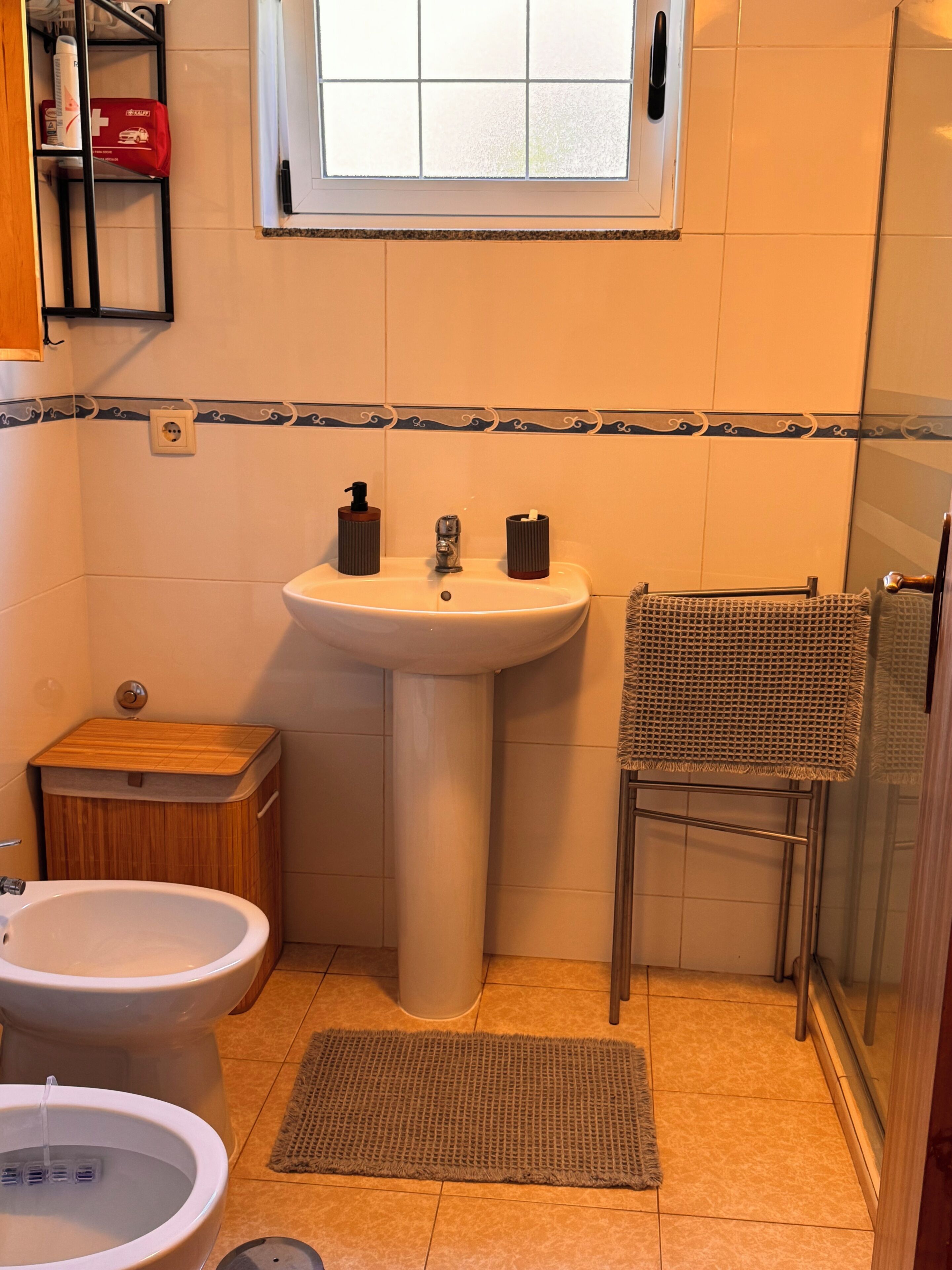 Shower, hair dryer, bidet, towels