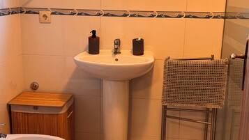 Shower, hair dryer, bidet, towels
