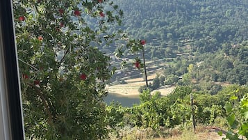 A view through a window of a landscape with a hill, trees, and a clear sky.