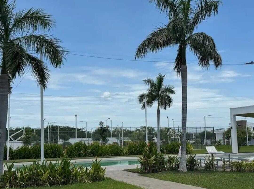 A pool area with palm trees, a pathway, and a white building structure.