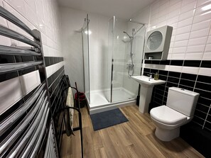 Shower, hair dryer, towels
