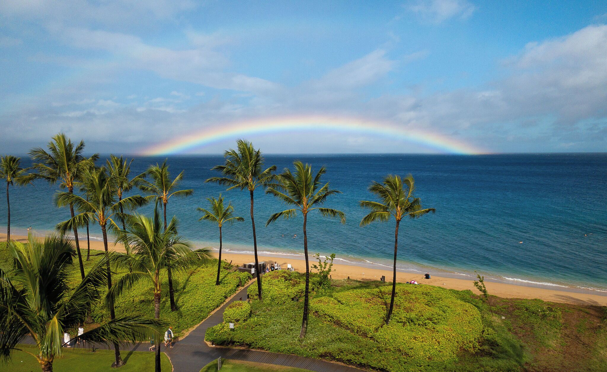 Une plage bordée de palmiers, avec un arc-en-ciel bien visible au-dessus de l’océan.
