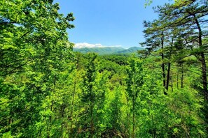 A dense forest with tall trees and a mountain range in the background. - Mountain Ridge-VIEWS-Pigeon Forge | Hot Tub, Decks & Fireplace | Sleeps 4 (Pigeon Forge)