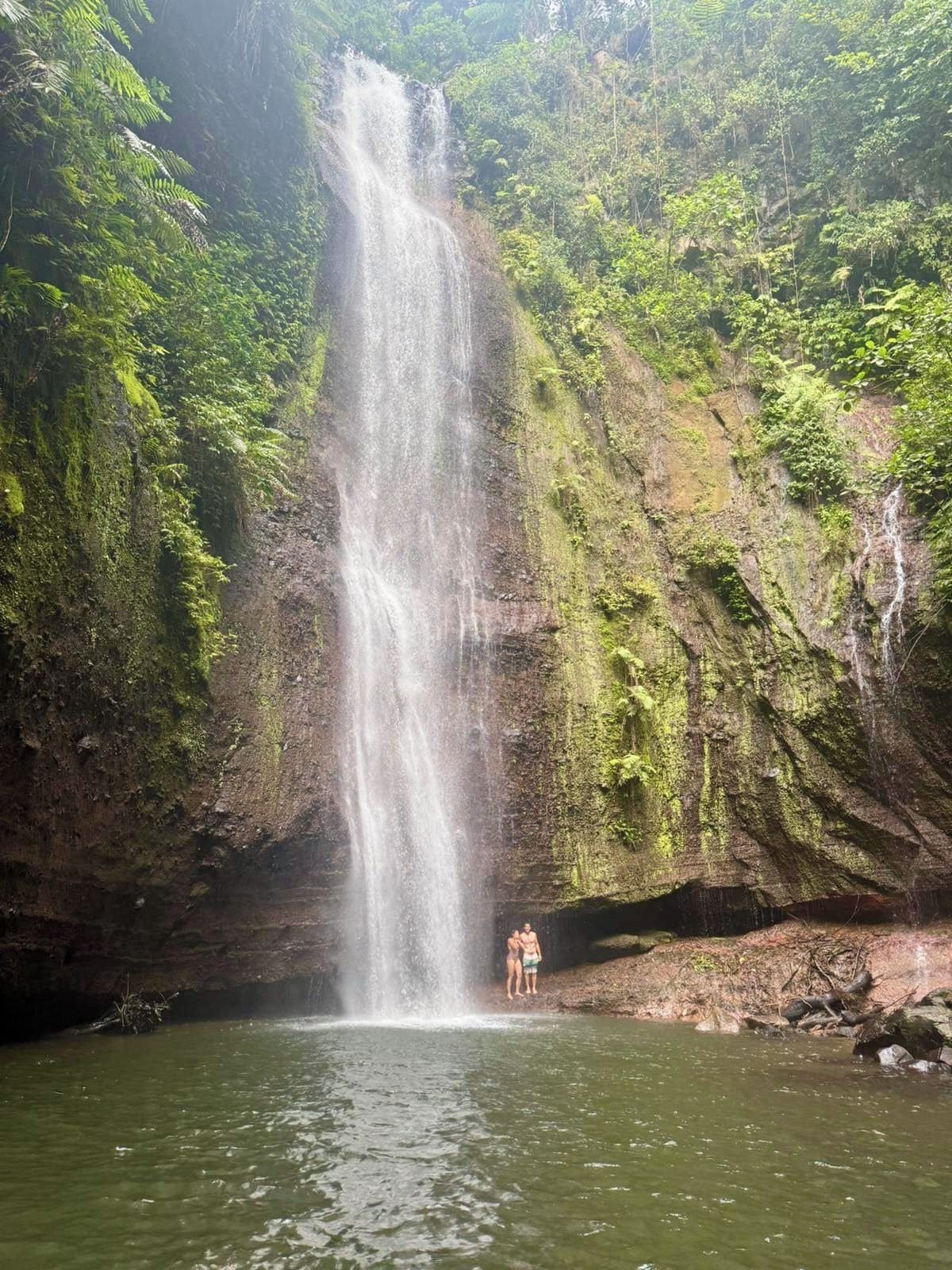 A waterfall cascading into a pool surrounded by lush greenery.