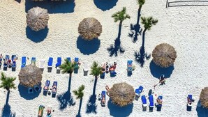 An aerial view of a beach with lounge chairs, palm trees, and thatched umbrellas. - Bahama Bay 515 Rum run unit 515  (Davenport)