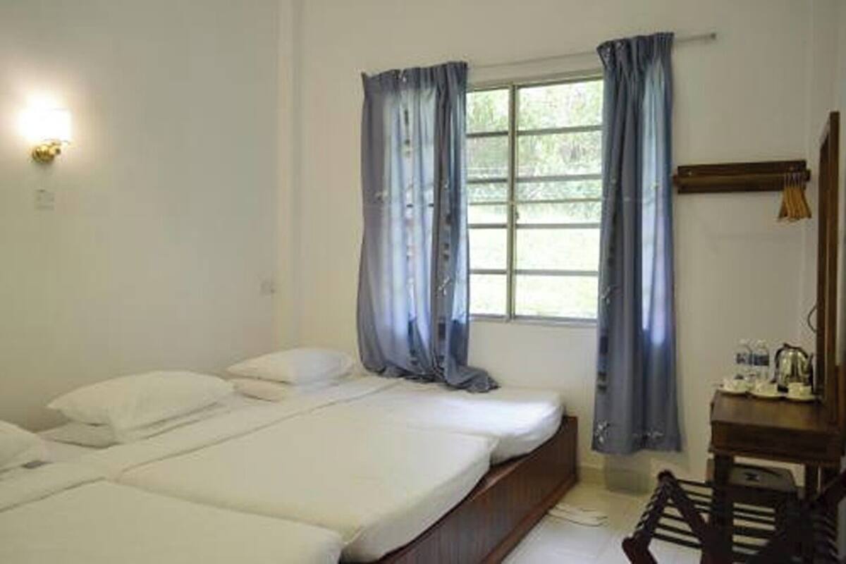 Chambre triple | Vue de la chambre