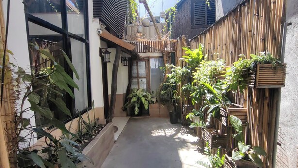 A narrow alleyway with potted plants and a wooden fence.