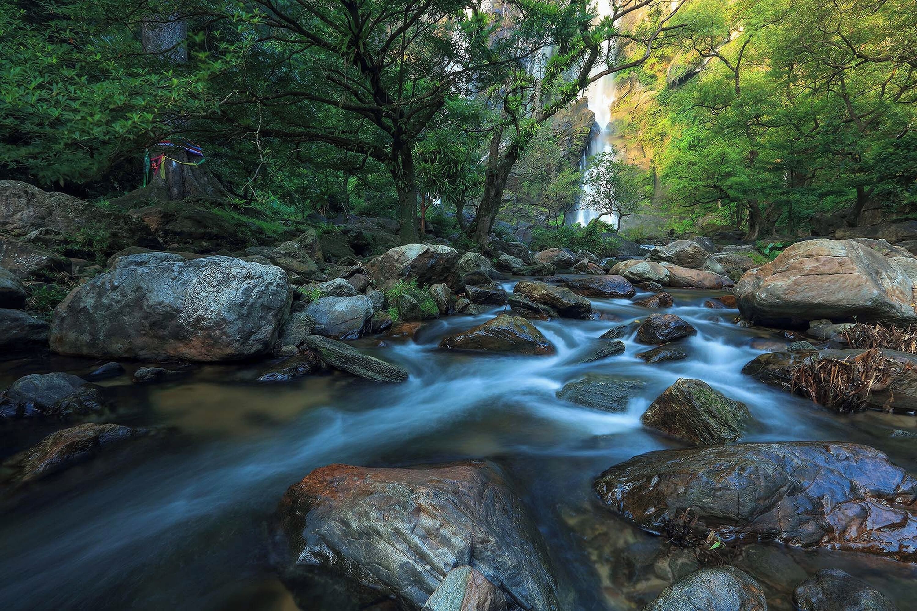 A natural landscape with a flowing river, rocks, and trees.