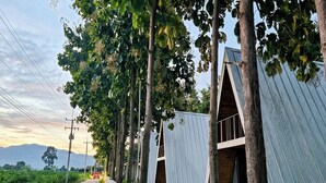 Una hilera de cabañas modernas y sencillas, separadas por un camino de hormigón, rodeadas de árboles y un cielo despejado.