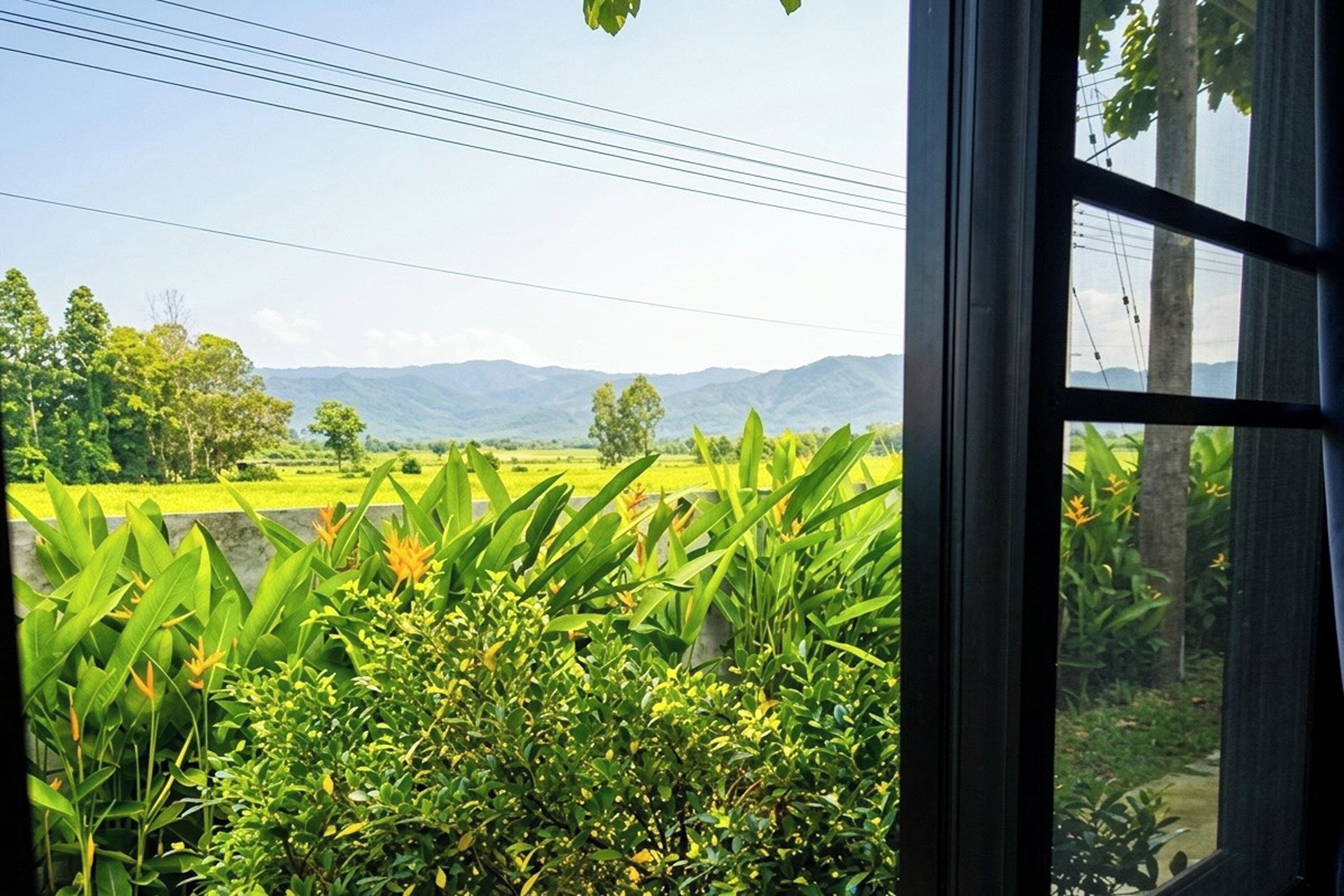 Deluxe Double Room, Mountain View | View from room