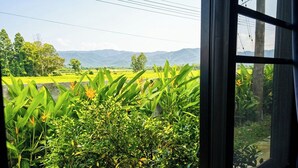 Vista a través de una ventana que muestra campos verdes y montañas al fondo.