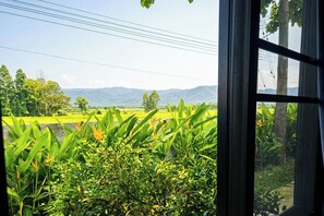 Deluxe Double Room, Mountain View | View from room