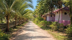 Un chemin de terre étroit, bordé de palmiers et d’une rangée de bâtiments roses et blancs.