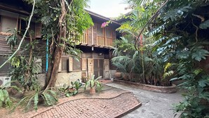 Une maison en bois dotée d’un balcon, entourée d’une végétation luxuriante et agrémentée de plantes en pot.