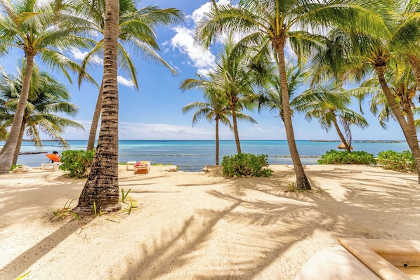 Unclassified image, 1 of 56, button - Ocean Blue Beachfront Condo in Puerto Aventuras (Puerto Aventuras)