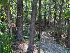 Ein bewaldetes Gebiet mit einem Schotterweg und einem Schild, das einen Wanderweg weist.
