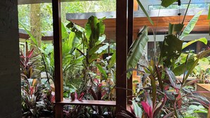 A wooden deck with a view of lush greenery and a stone wall. - Kaia Bungalow – Adults Only Private Pool (Manzanillo)