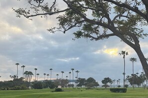 Luokittelematon kuva, 5 kautta 11, painike