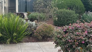 Una casa con techo de tejas, un porche cubierto y un jardín con diversas plantas y flores.