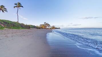 A beach with a sandy shore, palm trees, and a clear sky.