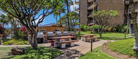 BBQ/picnic Area